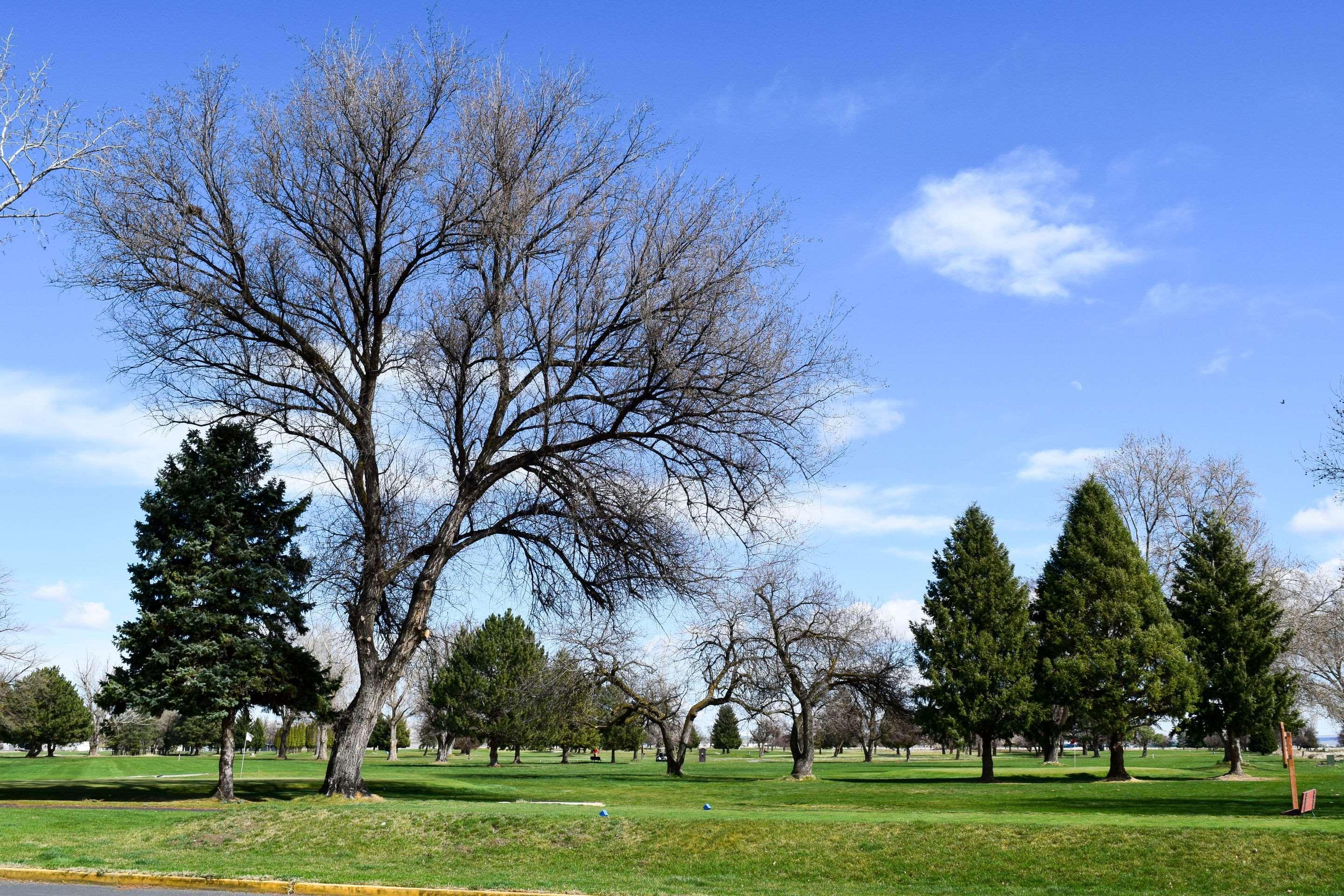 Quality Inn Umatilla - Hermiston Dış mekan fotoğraf